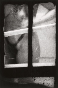 dirty windows photography, merry alpern