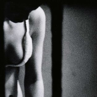 dirty windows photography, merry alpern