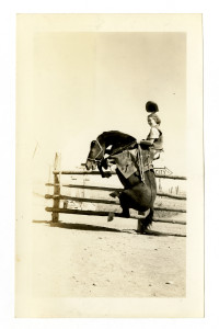 peter j cohen, snapshots of dangerous women, woman riding horse