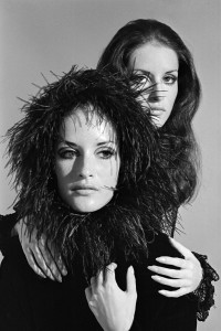 groupies and other electric ladies, feathers around the face