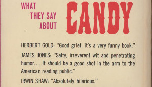 candy by terry southern and mason hoffenberg