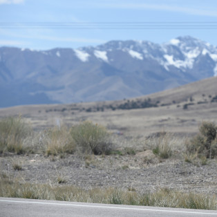 Nick Robinson wearing a suit, tie and backpack on roadside, being charlie movie