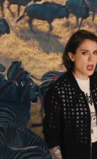 tegan and sara singing in front of zebras