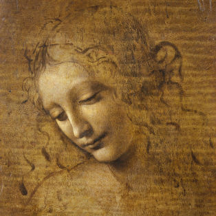 leonardo da vinci la scapigliata, head of a woman