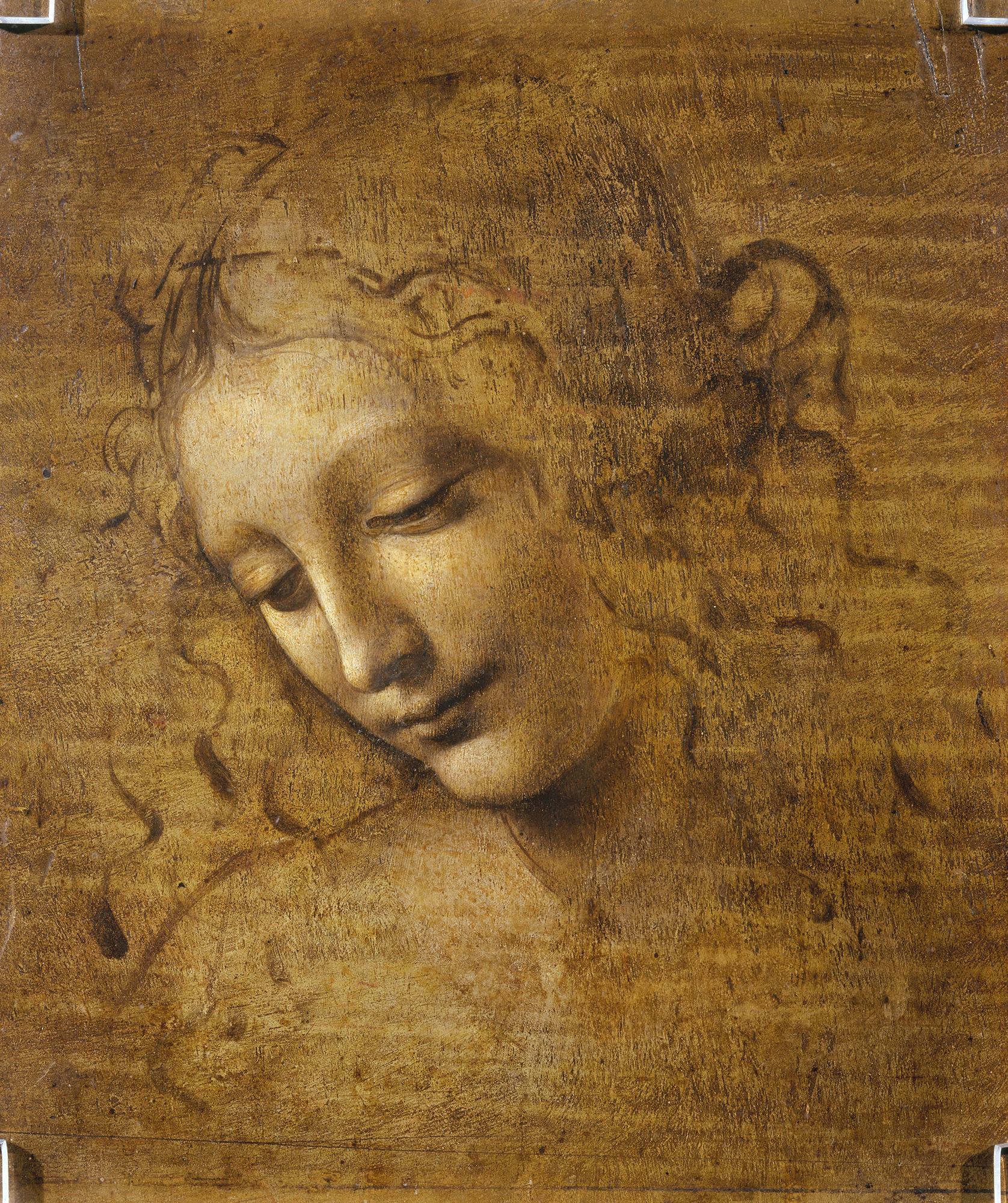 leonardo da vinci la scapigliata, head of a woman