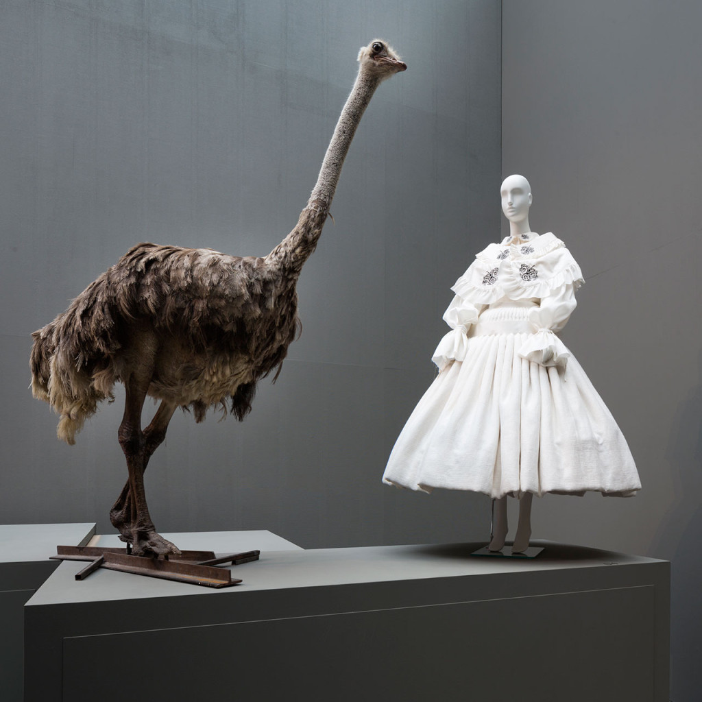 02_f9_haute_a_porter_filep_motwary_modemuseum_hasselt_photo_kristof_vrancken_yatzer