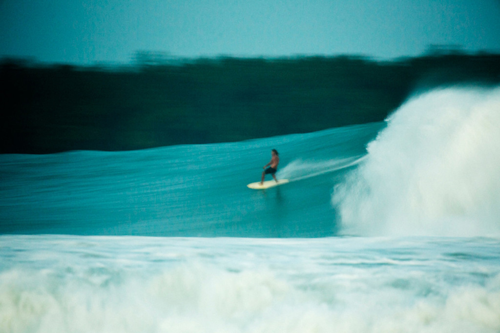 Rasta_indo_IMG_2884_copy