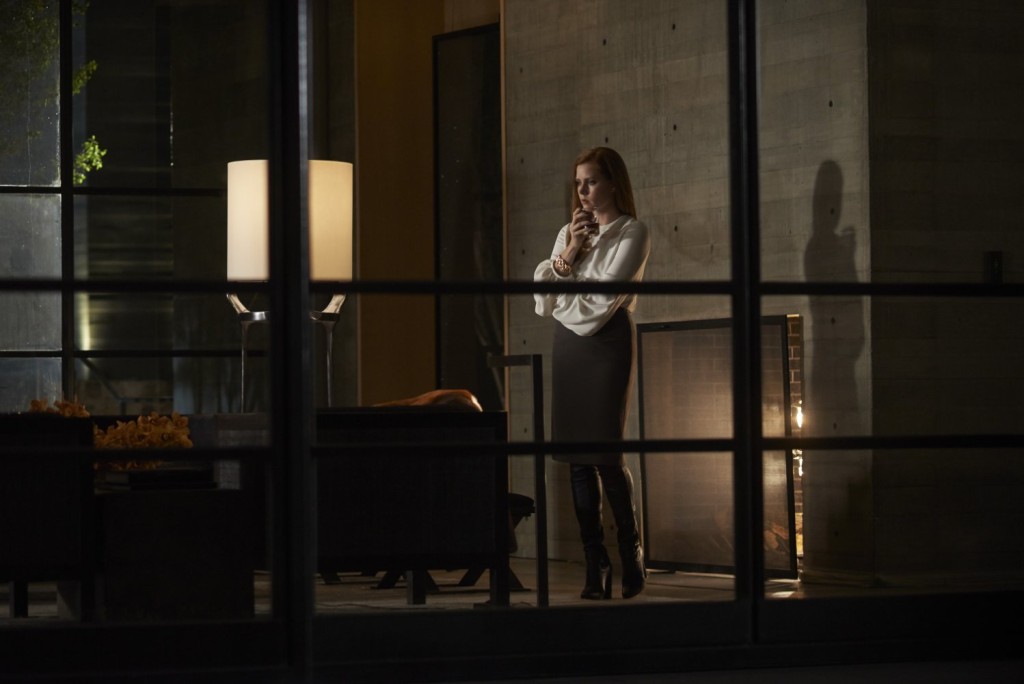 nocturnalanimals-story