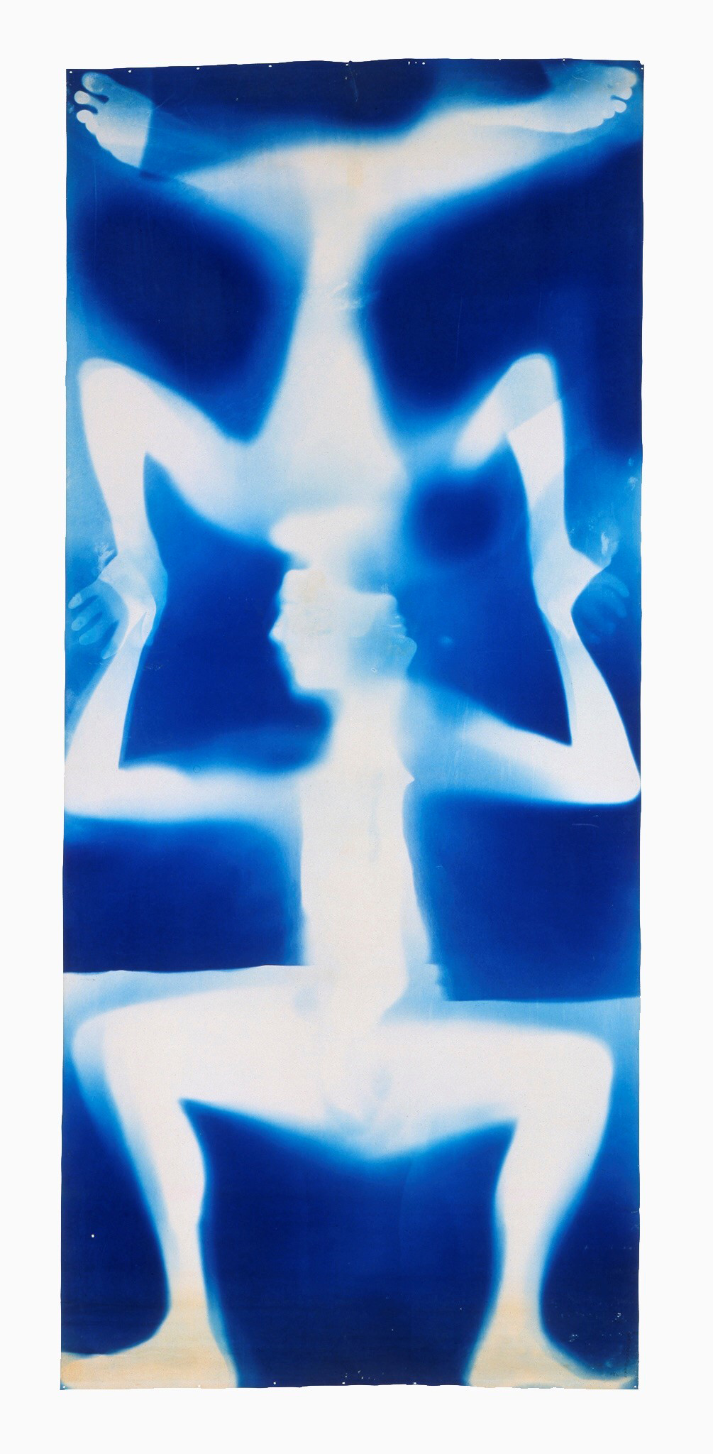 Untitled (Double Rauschenberg) (c. 1950), by Robert Rauschenberg and Susan Weil. Monoprint: exposed blueprint paper. 209.6 x 92.1 cm. Private collection.