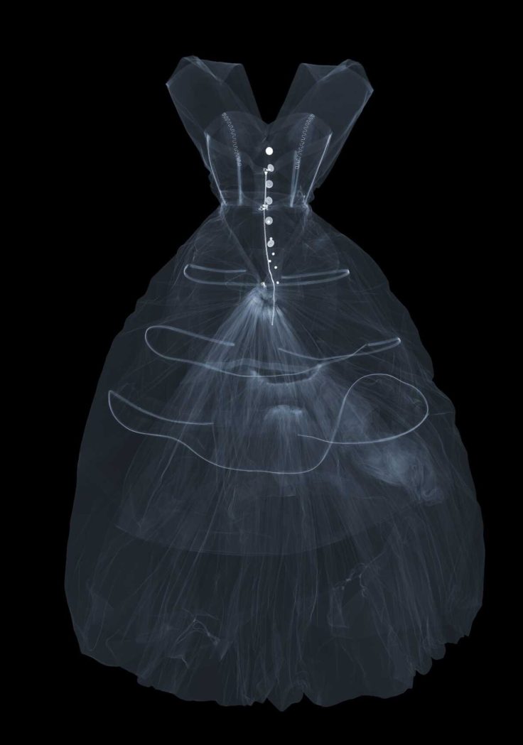 X-ray photographh Balenciaga dresss
