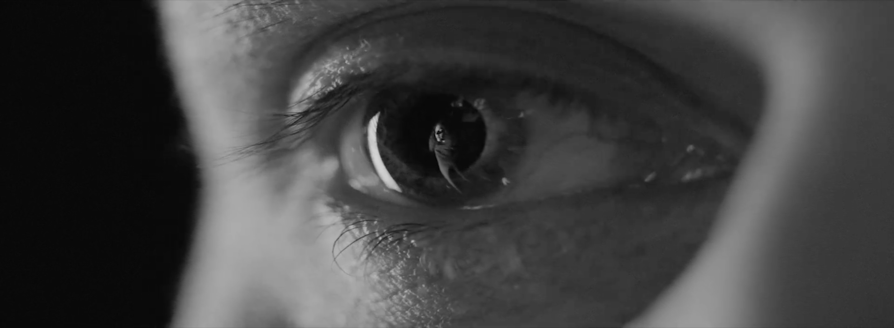 Please by RHYE Music
