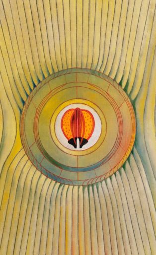 Max Ernst MOMA