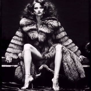 charlotte venus in furs