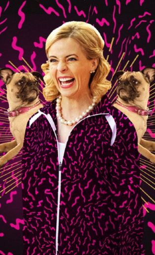 Lady Dynamite Netflix