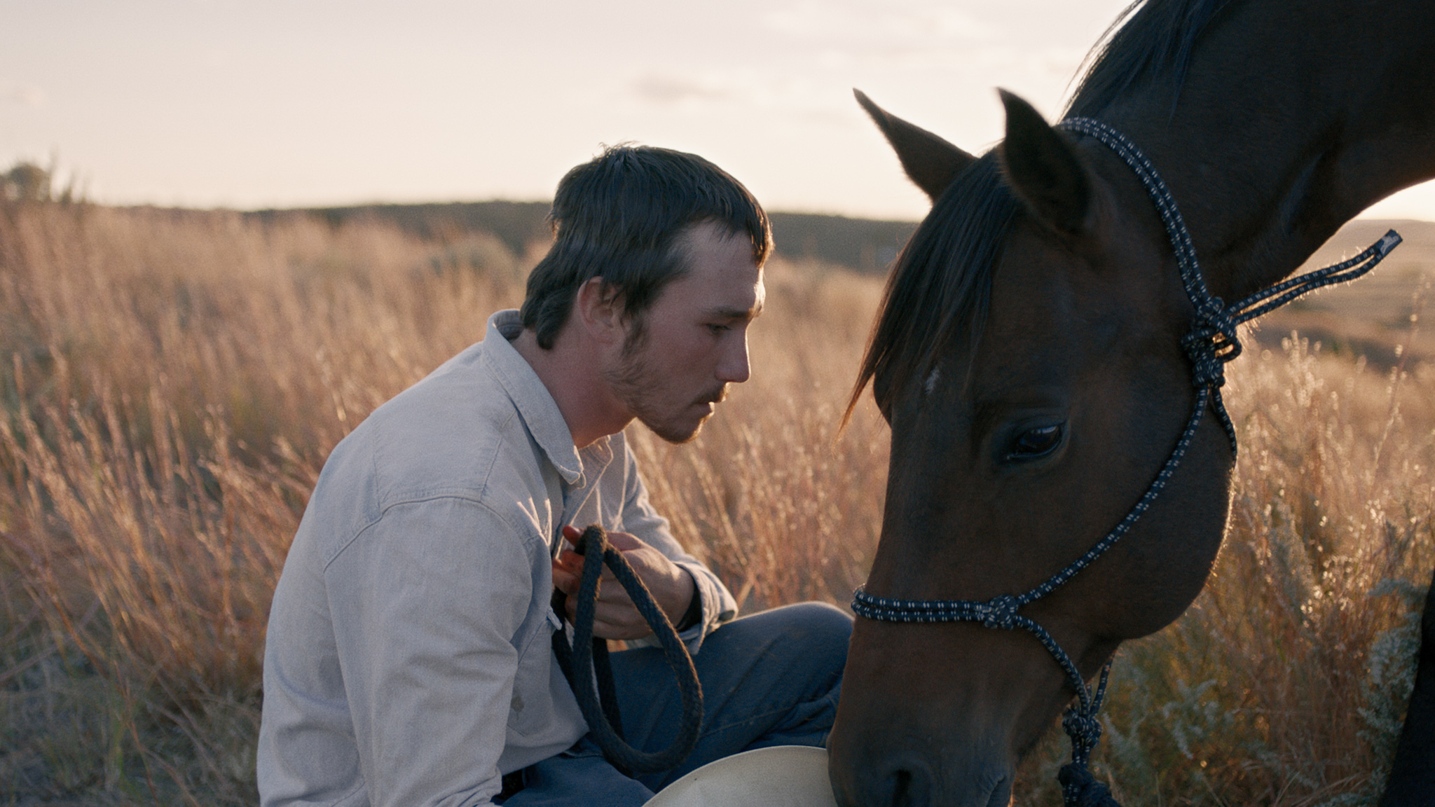 brady-jandreau-the-rider-still