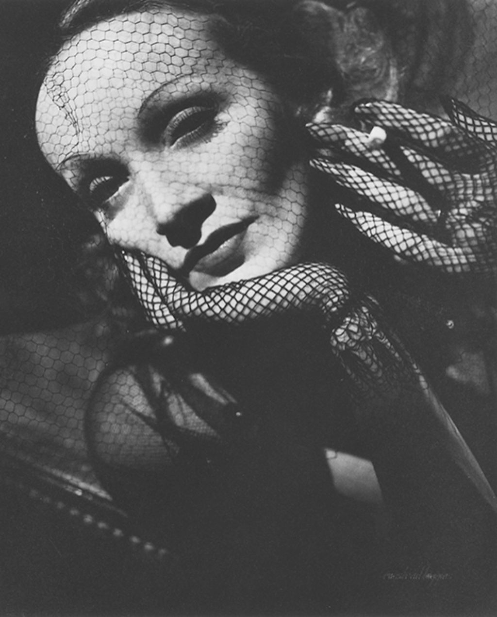 marlene dietrich fishnet