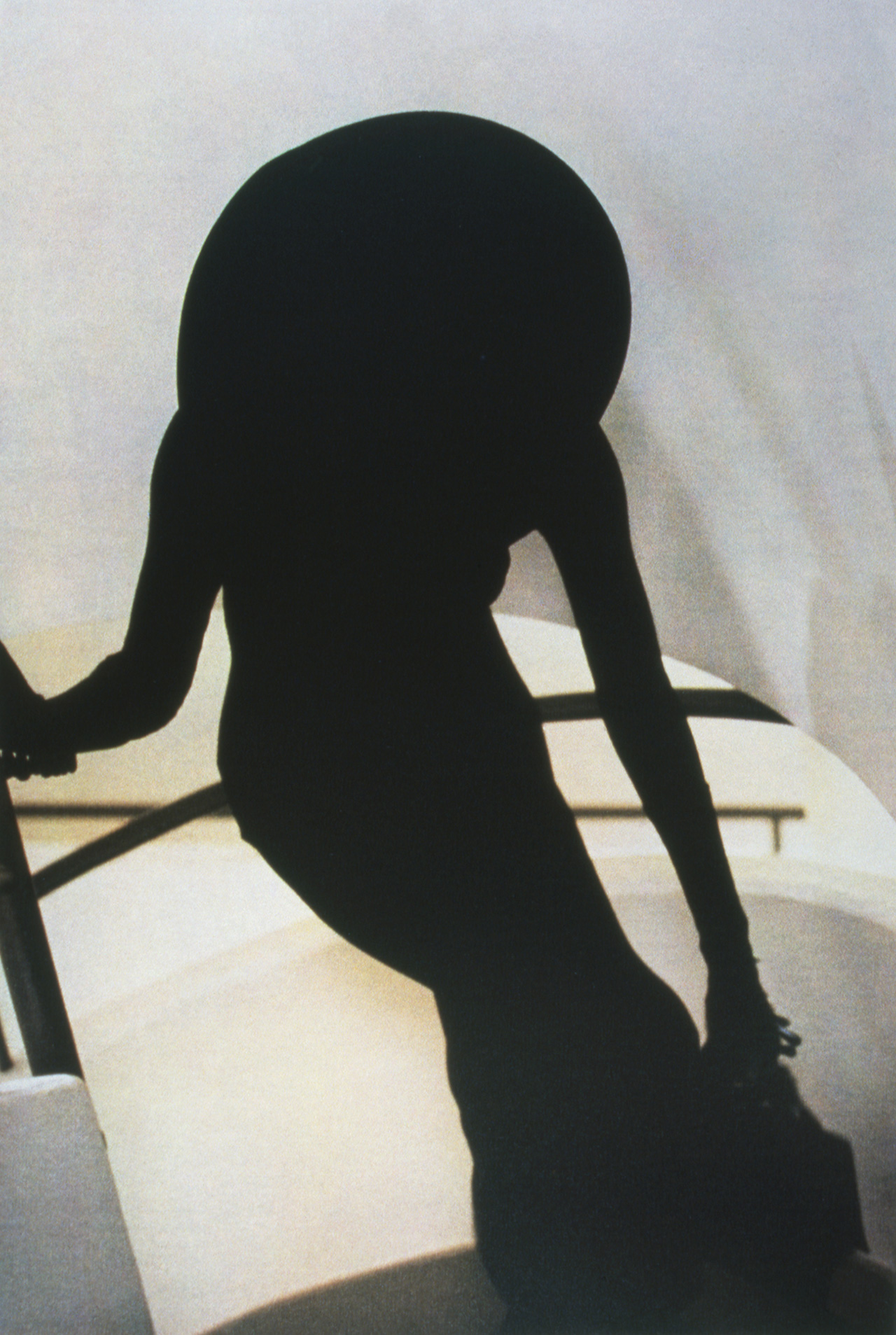 Sheila Metzner. Fashion. 1988