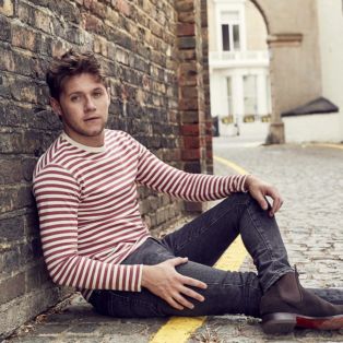 Niall Horan Model