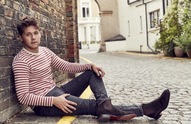 Niall Horan Model