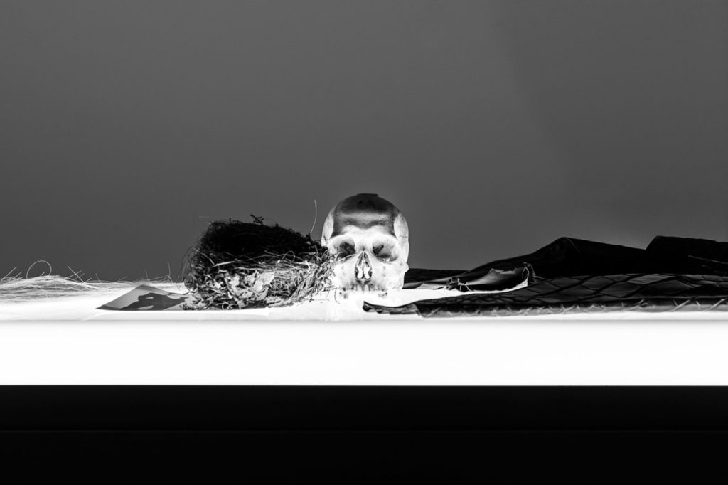 Rick Owens black and white photograph of a skull and empty birds nest