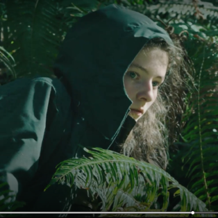 leave no trace