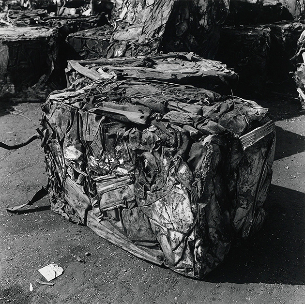 Peter Hujar. Steel Ruins