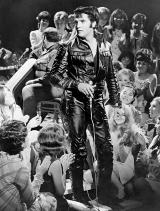 Elvis The Searcher