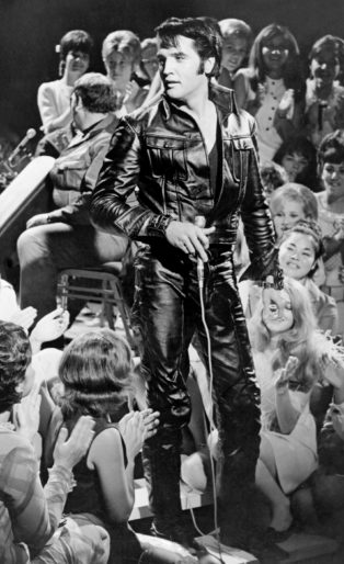 Elvis The Searcher