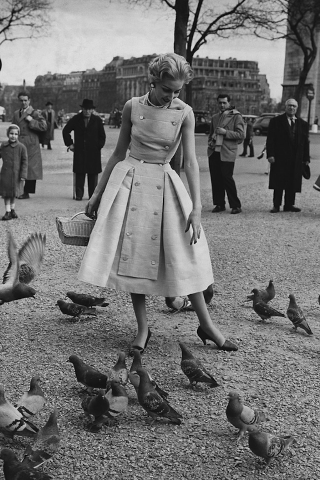 Pigeons