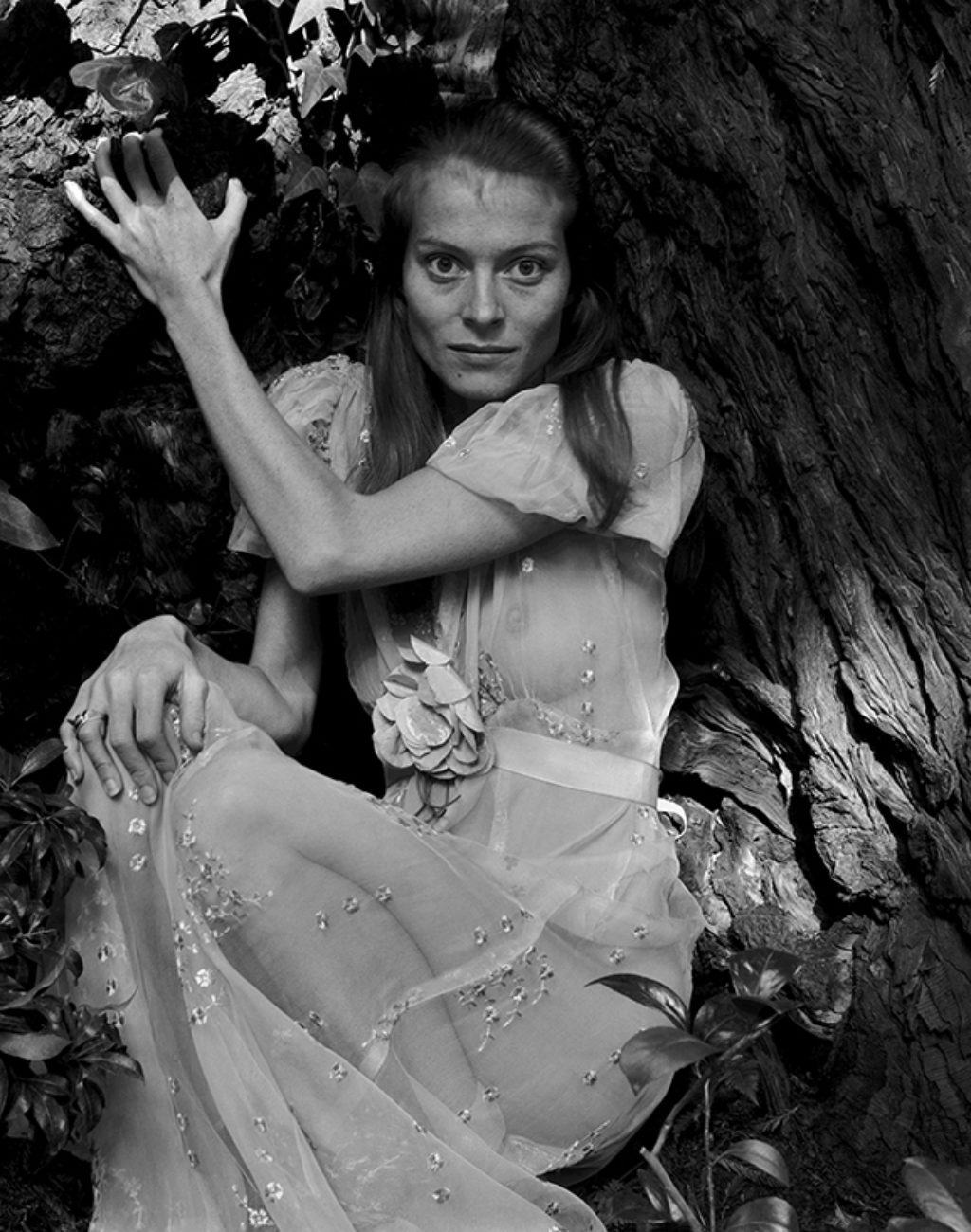 Twinka Thiebaud and the Tree