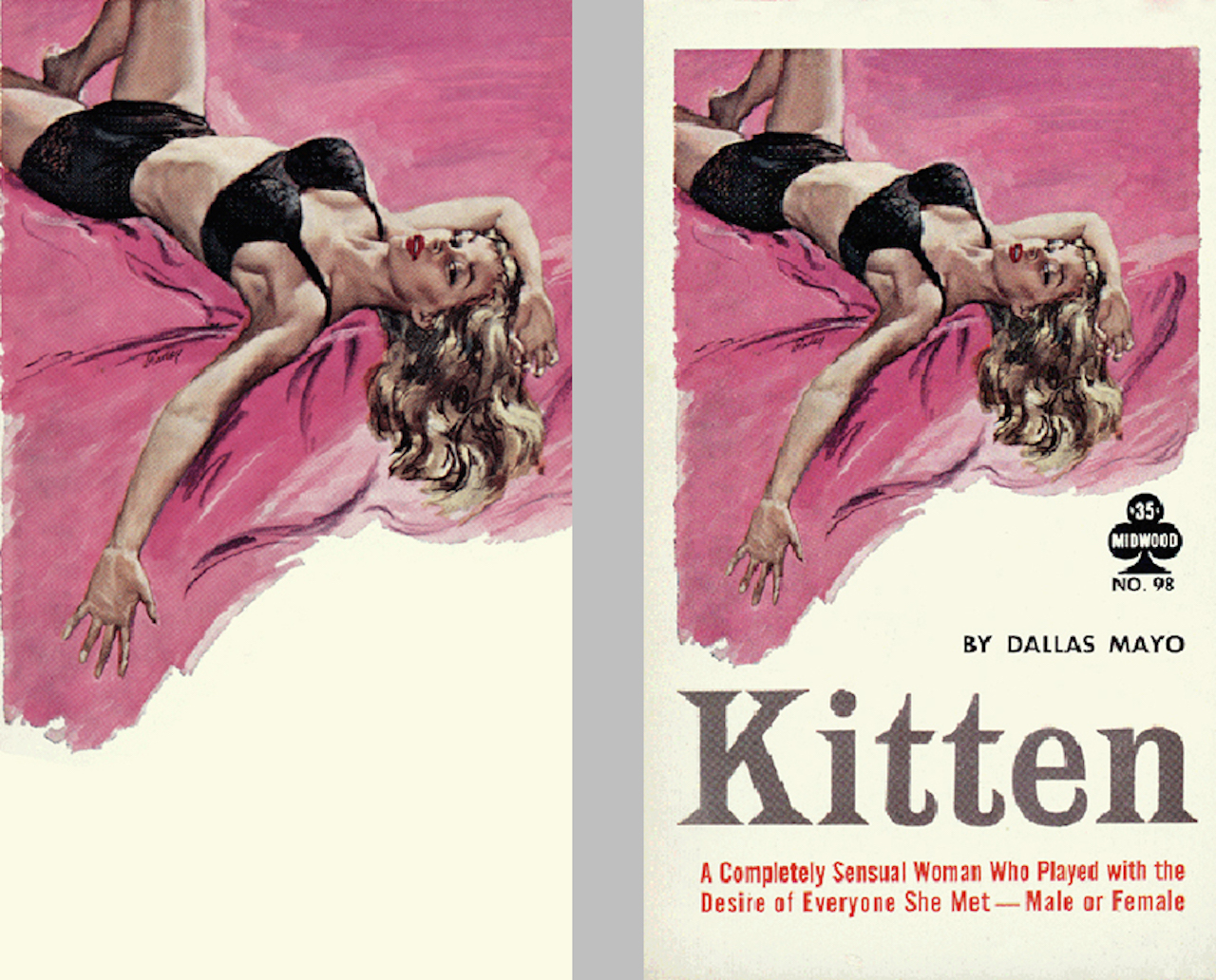Sex Kitten book cover by Paul Rader