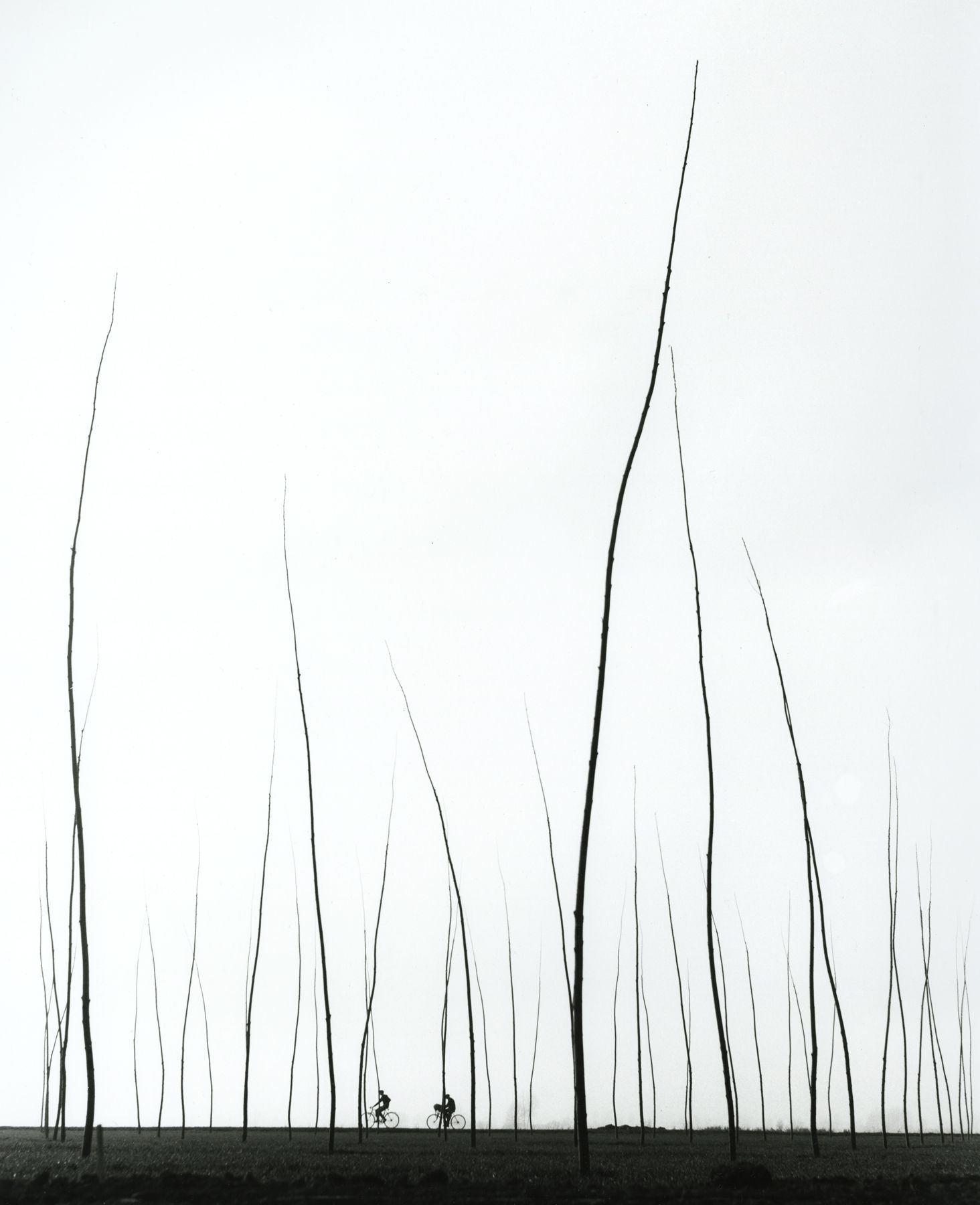 Augusto Cantamessa. "Breve Orizzonte (Brief Horizon). 1955.