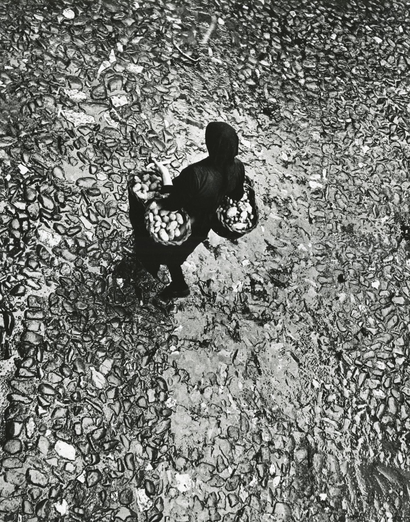 Fulvio Roiter. "Valcamonica." 1962.