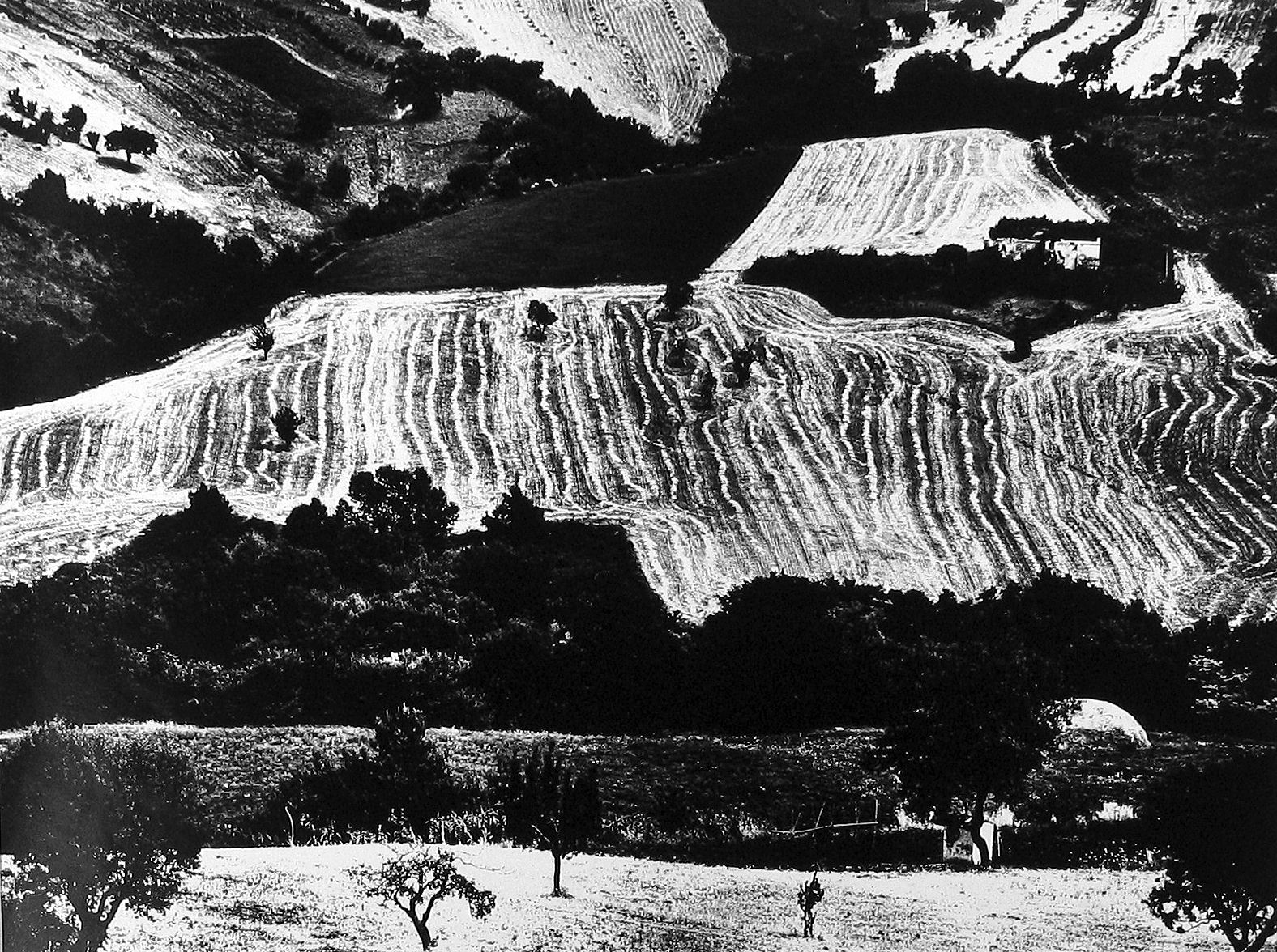 Mario Giacomelli. "Presa di conscienza sulla natura." 1970-76.