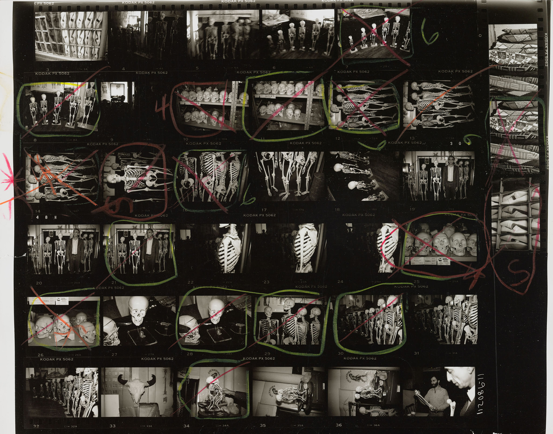 Andy Warhol contact sheet with skulls and skeletons