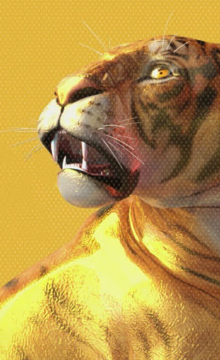 chainsmokers-emily-warren-side-effects