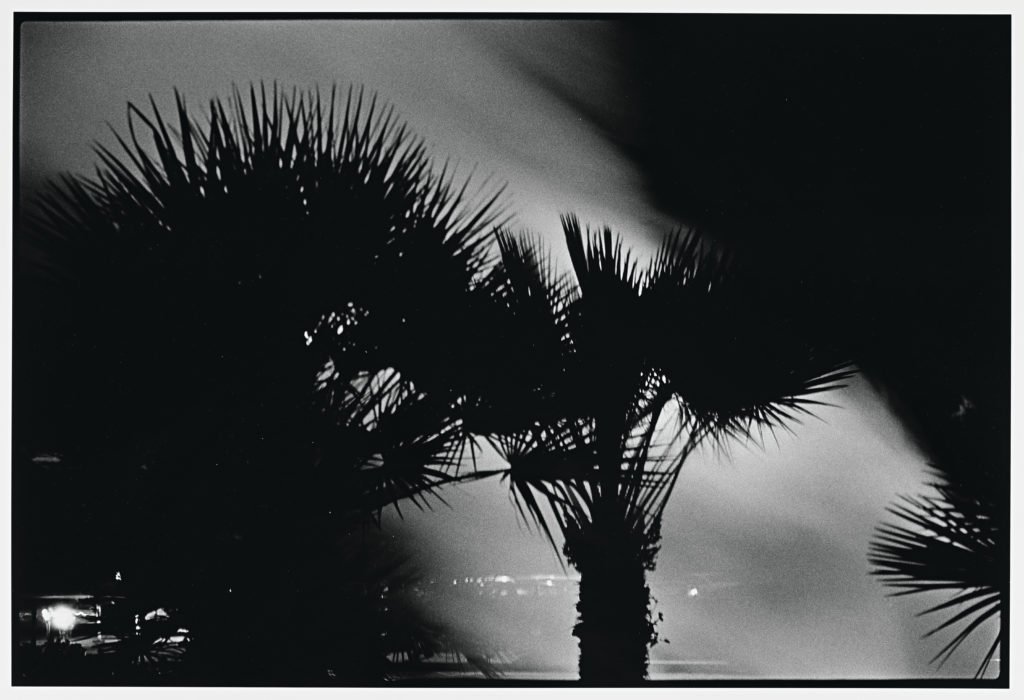 Photograph by Robert Rauschenberg