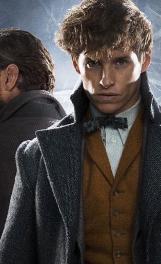 Provokr Pick Fantastic Beasts