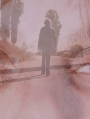 Nicole Kidman Destroyer