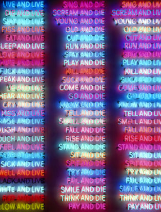 Artwork by Bruce Nauman