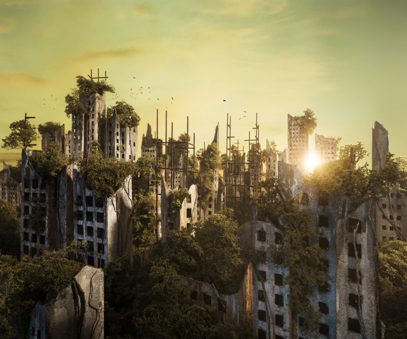 edited photo of a skyline, post-apocalyptic at dawn