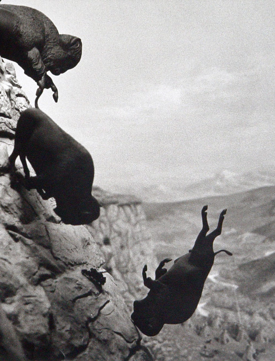 art-David-Wojnaowicz