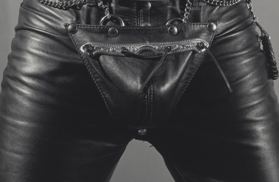mapplethorpe crotch