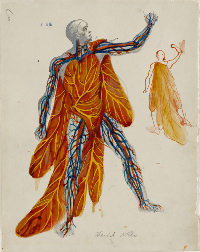 Drawing by Pavel Tchelitchew