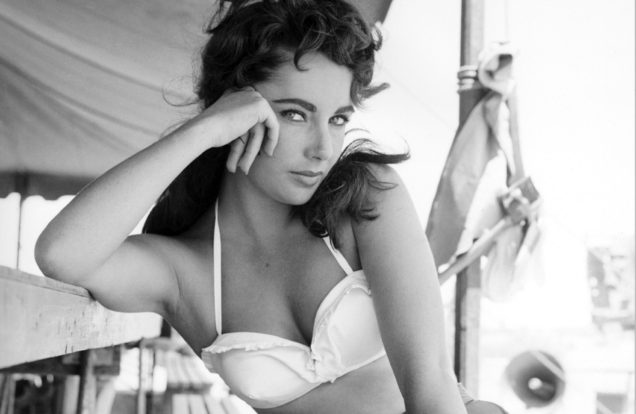 elizabeth taylor suddenly last summer