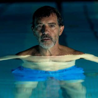 pain and glory antonio banderas