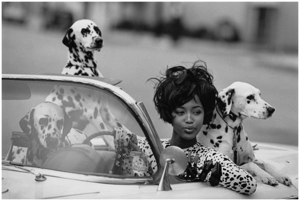 Photo of a women with two dalmation dogs in a convertible