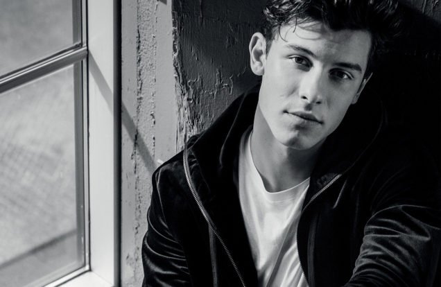 shawn mendes emporio armani