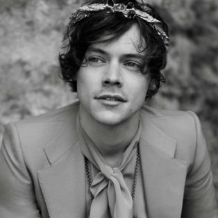 harry styles gucci
