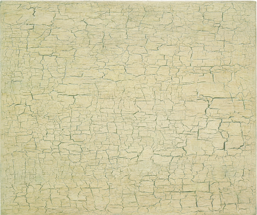 Desert Surface #1 by Vija Celmins